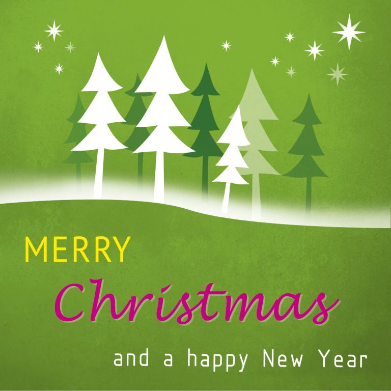 Euch allen ein frohes Fest und ein gutes, gesundes Jahr 2025!