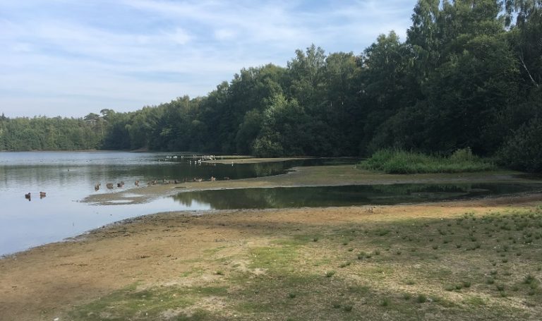 Hiltruper See: Bericht der Verwaltung sorgt für Klarheit