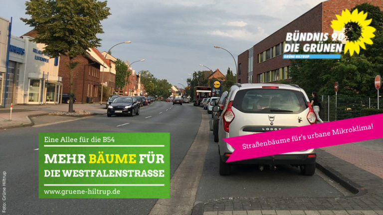 Mehr Bäume für die Westfalenstraße!