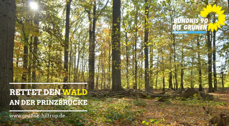 GRÜNE Hiltrup: „Wo war die FDP in den letzten acht Jahren?“