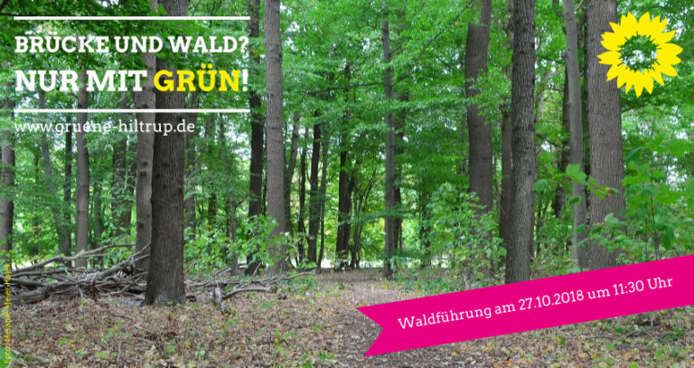 Öffentliche Waldführung an der Prinzbrücke