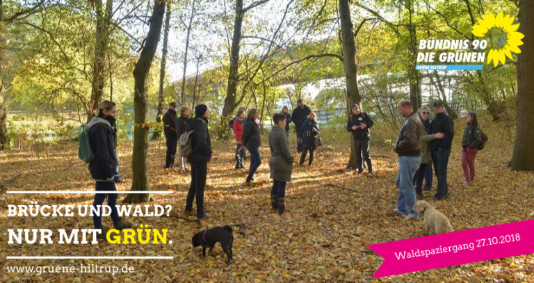 Waldspaziergang zeigt: Wald an der Prinzbrücke ist ökologisch wertvoll!