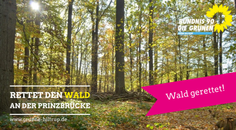 GRÜNE kritisieren Falschinformationen zur Prinzbrücke